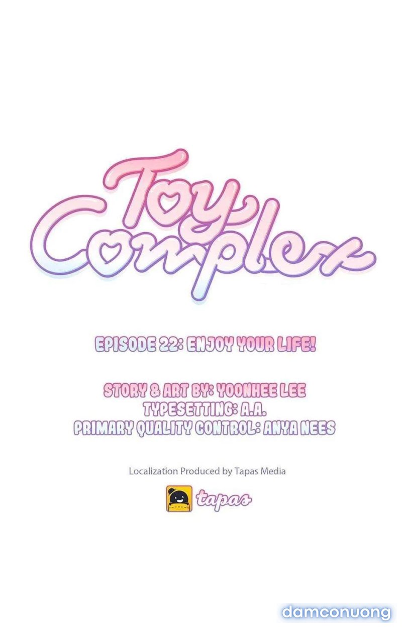 Toy Complex