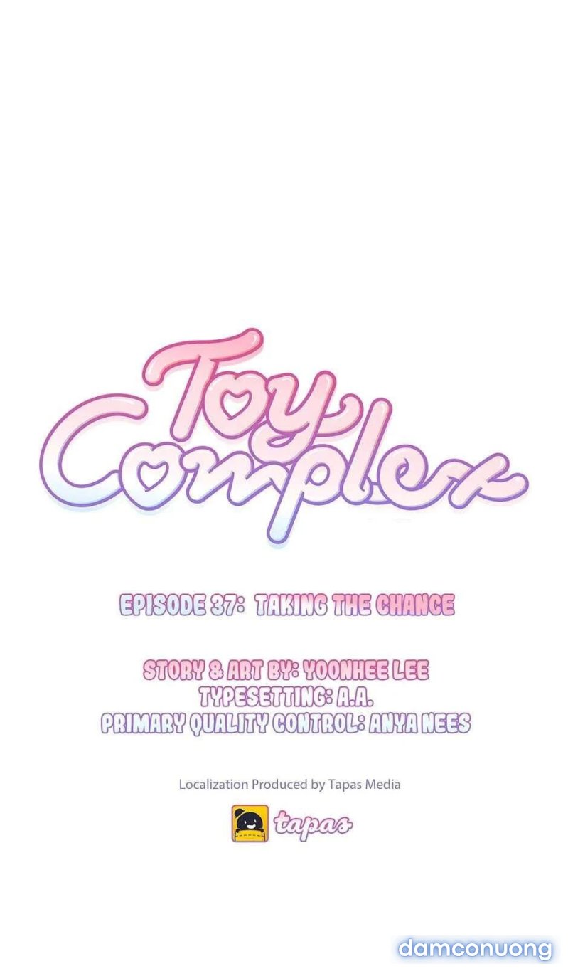 Toy Complex