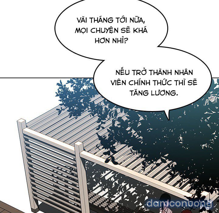 Hoa tàn