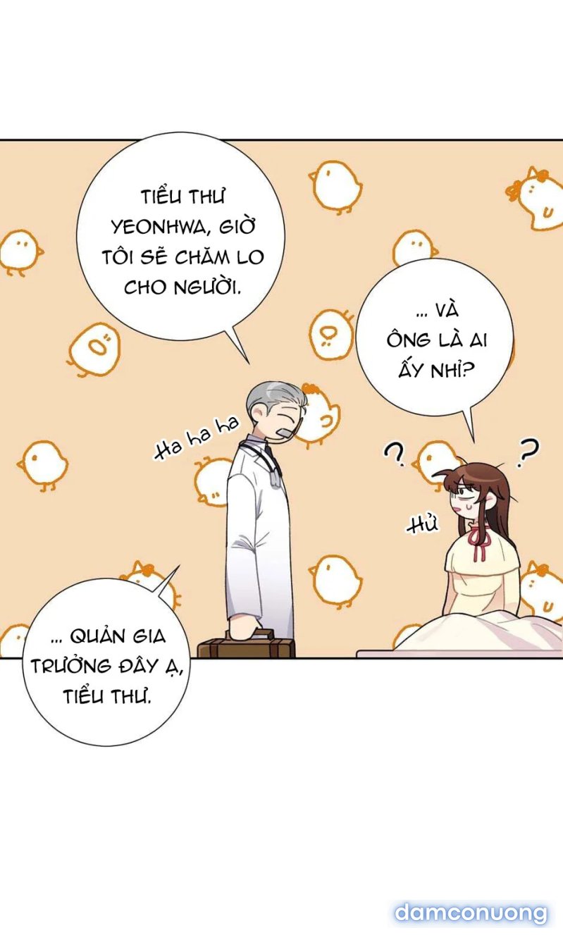 Cô Chủ Và Người Hầu